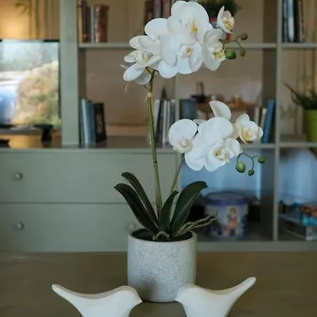 With Garden In Thessaloniki. شقة *