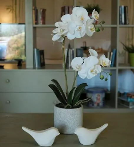 With Garden In Thessaloniki. Apartman *